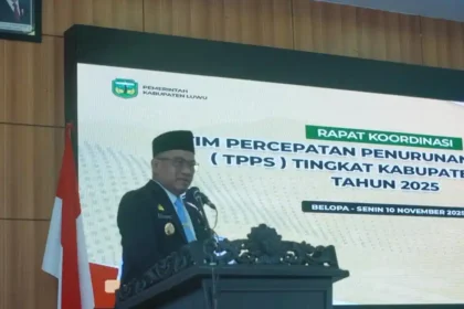 Ekonomi Luwu Melejit! Tumbuh 7,43 Persen, Tertinggi dalam 7 Tahun