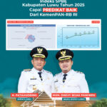 Luwu Naik Level! Indeks SPBE 2025 Tembus Predikat Baik