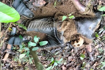 Lokasi penemuan jasad pria di area perkebunan Dusun Batu Tongkon Luwu