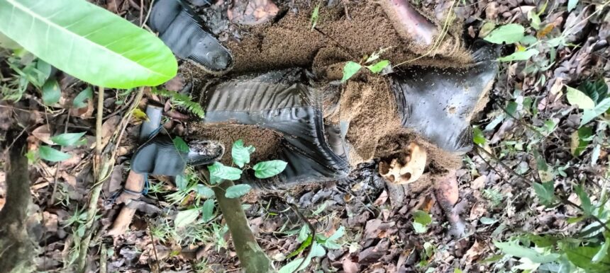 Lokasi penemuan jasad pria di area perkebunan Dusun Batu Tongkon Luwu
