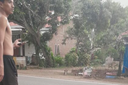 Aksi warga Luwu tambal jalan berlubang di Trans Sulawesi