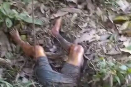 Pemuda Luwu Meninggal