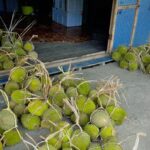 Kisah Usaha Durian Lokal di Batulappa