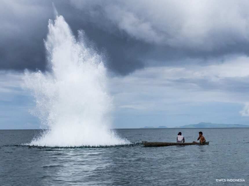 Penangkapan Ikan Ilegal Kerap Gunakan Bahan Peledak