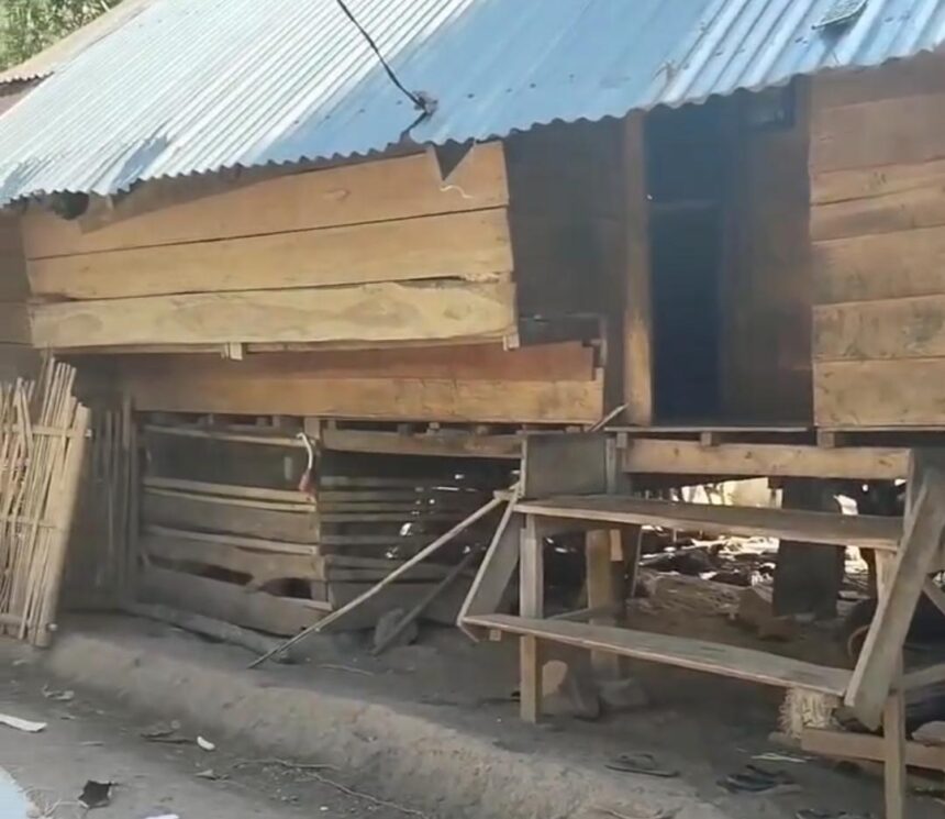 Kondisi Janda Anak Tiga di Luwu Viral mengundang perhatian warga
