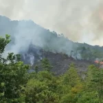 Kemarau Mulai Berdampak Serius di Luwu! Karhutla Meluas hingga Ribuan Hektare Sawah Kekurangan Air