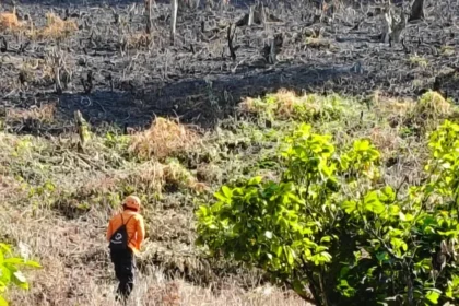 Pergi Bakar Rumput di Kebun, Seorang Pria 63 Tahun di Luwu Tak Kunjung Pulang