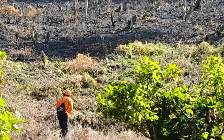 Pergi Bakar Rumput di Kebun, Seorang Pria 63 Tahun di Luwu Tak Kunjung Pulang