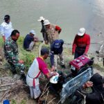 Ribuan Hektare Sawah Luwu Dilanda Kekeringan, Puluhan Pompa Air hingga Opsi Sumur Bor Baru Mulai Disiapkan