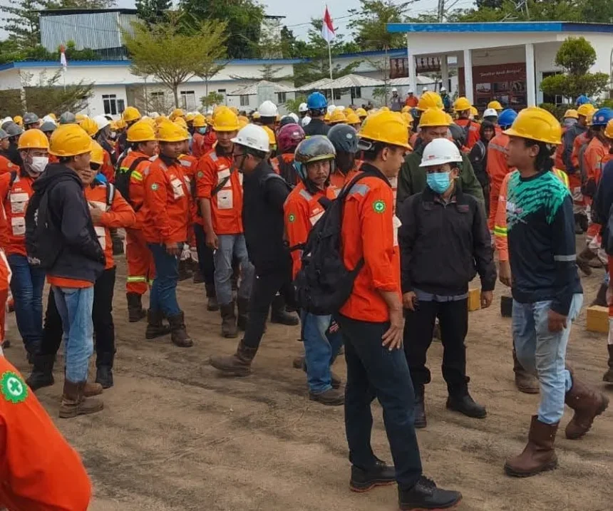 570 Karyawan PT BMS di Luwu Dirumahkan, Operasional Pabrik 1 Dihentikan Sementara