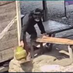 Terekam CCTV! Pemuda Gondrong Diduga Gondol LPG 3 Kg dari Kios Warga di Luwu